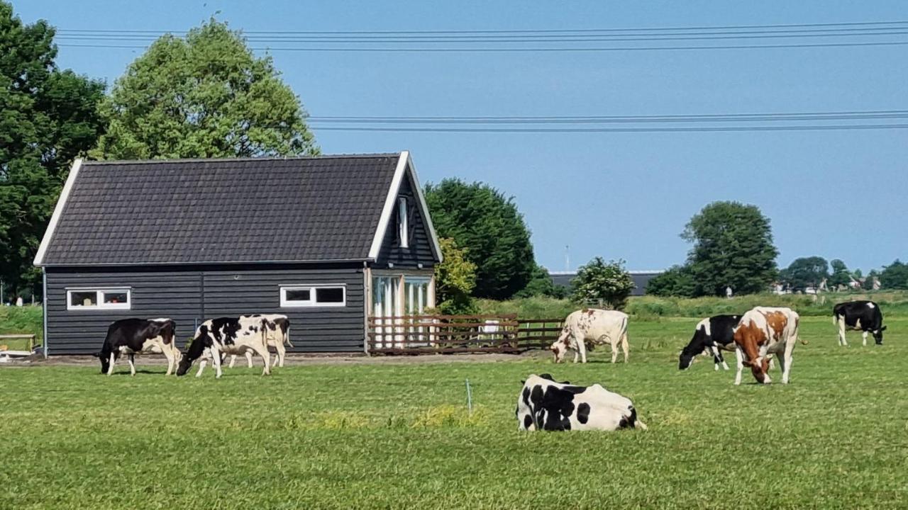 City Farmers Lodge, A Guesthouse With A Skyline View In Rural Amsterdam Esterno foto
