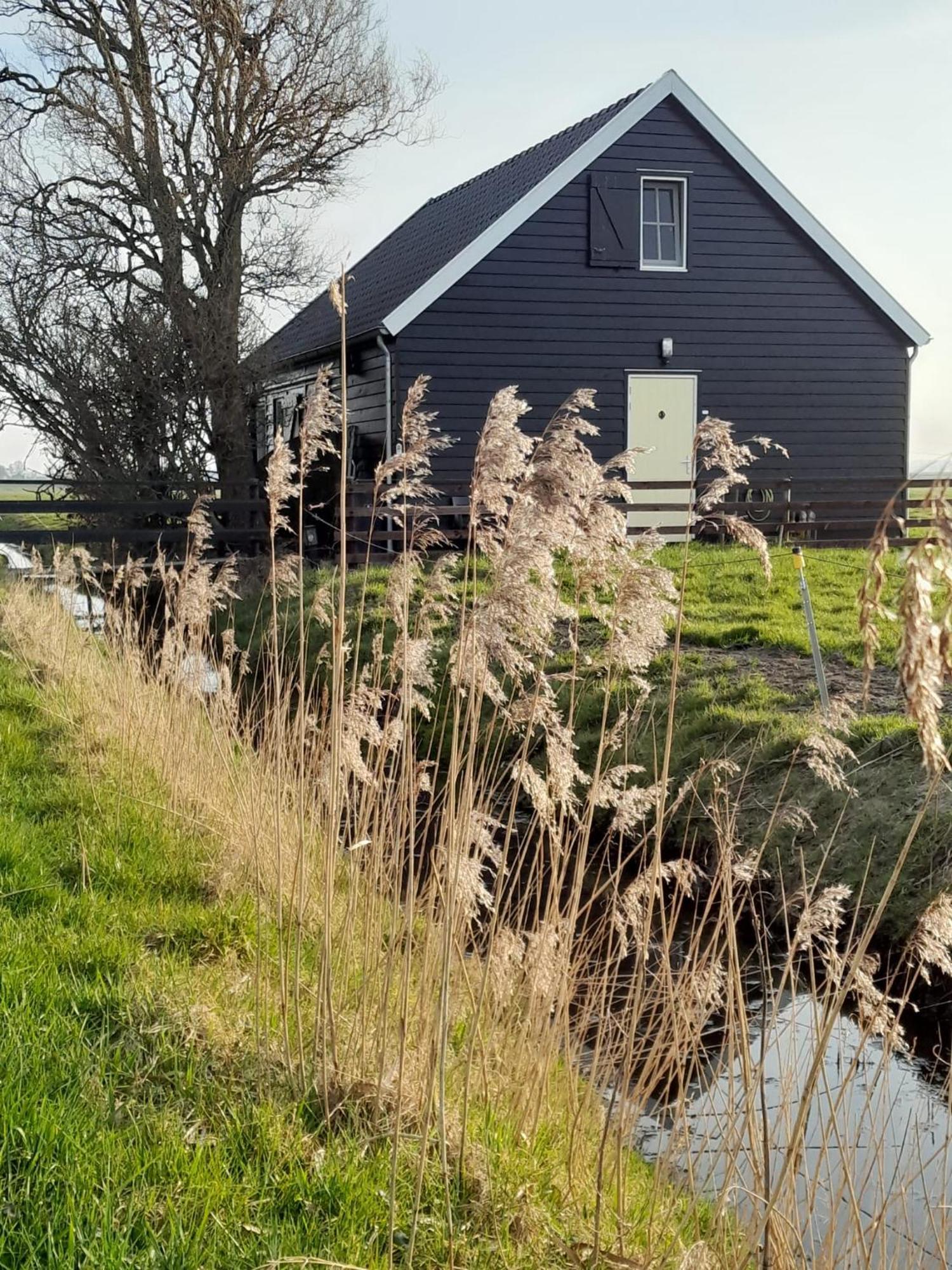 City Farmers Lodge, A Guesthouse With A Skyline View In Rural Amsterdam Esterno foto